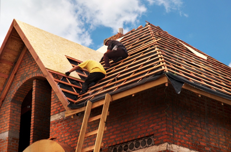 Two men install wood sheets on an unfinished roof. The roof's wooden foundation can be seen, as well as a ladder leading to the roof.